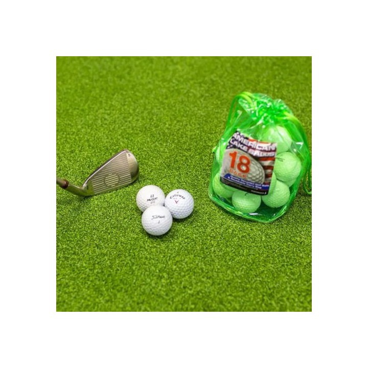 American Lakeballs Bag